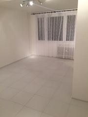 Rekonstrukce bytu 2015