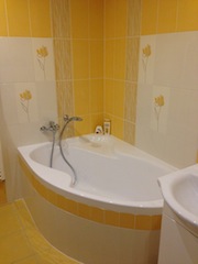 Rekonstrukce koupelny 2012