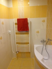 Rekonstrukce koupelny 2012