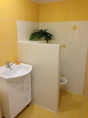 Rekonstrukce koupelny 2012